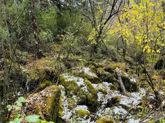 -叠溪松坪沟景区