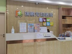 -瑞鹏宠物医院犬猫全科(真大分院)