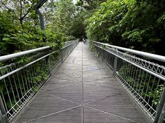 -佛山华盖山公园