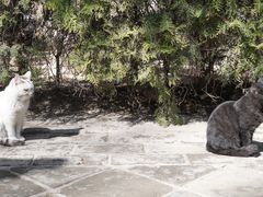 -窦大夫祠