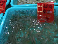 -渔傅·蓝海岸霞浦海鲜(正祥店)