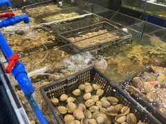 -这片海·海景餐厅(博鳌店)