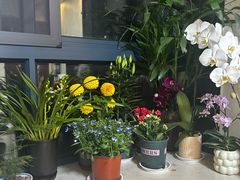 -双季花艺园艺市场(浦东店)