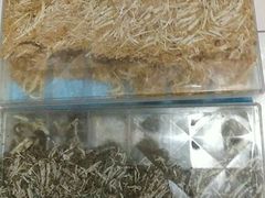 -老城隍庙食品商店(豫园商城店)