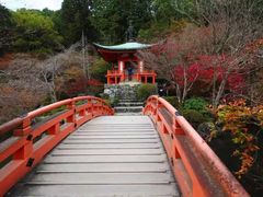 -醍醐寺