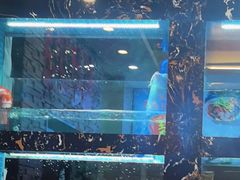 -浔味·山屿湖·正宗淳牌全鱼宴老字号