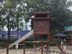 -成飞公园