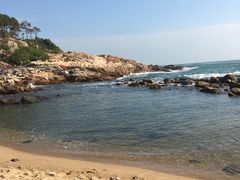 -广东惠东海龟国家级自然保护区