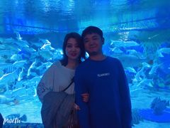 -成都浩海立方海洋公园