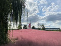 -羊亭河湿地公园