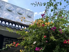 -中山市绿华园食府
