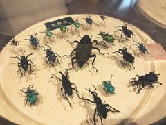 -陕西自然博物馆