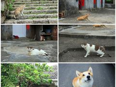 -东沙渔村