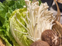 -同仁四季椰子鸡(福田东园总店)