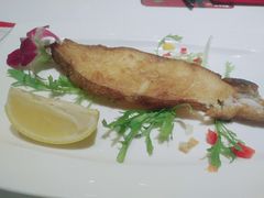 -斗牛士牛排餐厅(镇明店)