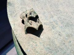 -广西壮族自治区博物馆