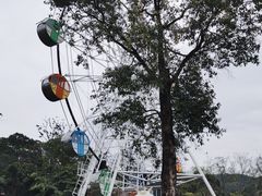 -森波拉奇妙世界