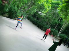-塘沽森林公园