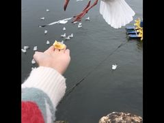-大理洱海