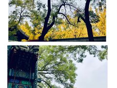 -北京国子监胡同