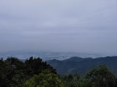 -阳台山森林公园