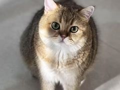 -嘉馨宠物医院·CT影像转诊·心脏科·犬猫全科诊疗中心(下沙大学城院区)