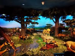 -国家自然博物馆