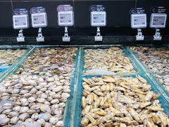 -盒马鲜生(双清路店)