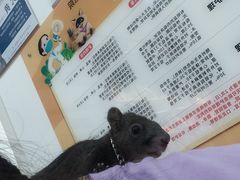 -特一安24小时宠物医院·骨科·中兽医