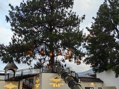 -云禾壹海景庄园餐厅