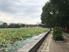 -建水文庙