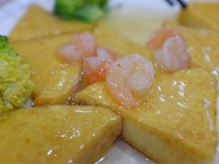 龙王豆腐-姚林轩