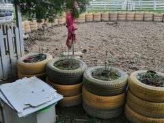 -紫颐香薰山谷景区