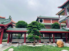 -广东圆玄道观
