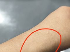 -百联沪通凯迪拉克4s店