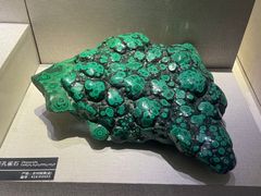 -河南自然博物馆