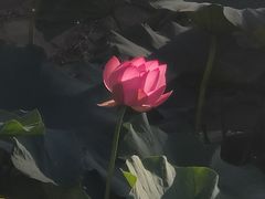 -哈尔滨师范大学(松北校区)