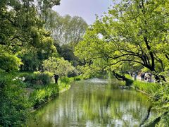 -上海共青森林公园