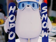 -Hopo Snow 城市滑雪空间(滨江宝龙城店)