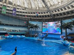 -海合安成都极地海洋公园
