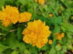 -鹫峰国家森林公园