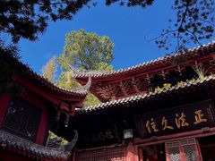 -都江堰普照寺