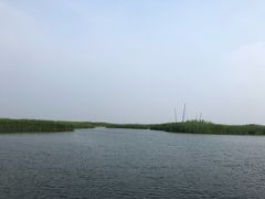 -太湖湖滨国家湿地公园-停车场