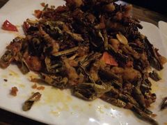 城东啤酒菜-城东酒馆1971(东方明珠店)