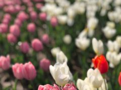 -廊坊文化艺术中心