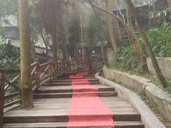 -都江堰普照寺