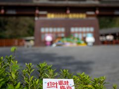 -光雾山旅游景区