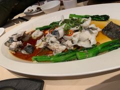 -侨美食家·粤菜(体育西路店)
