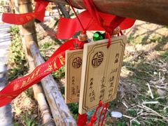 -石塘人家