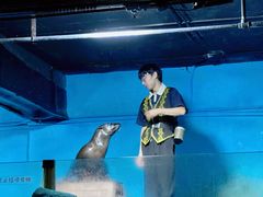 -常州海昌海洋探索馆